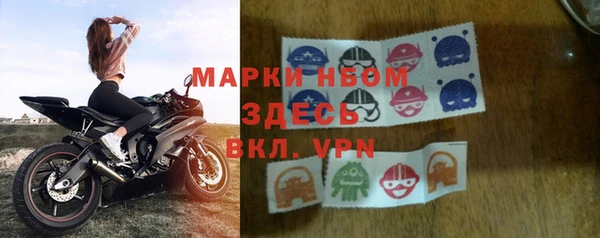 сатива Краснослободск