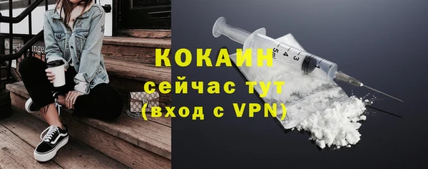 сатива Краснослободск