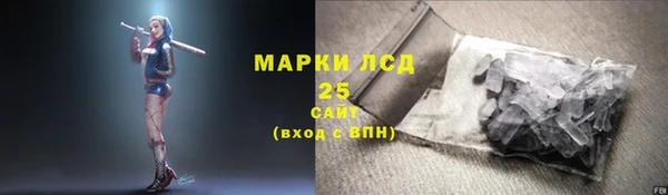 сатива Краснослободск