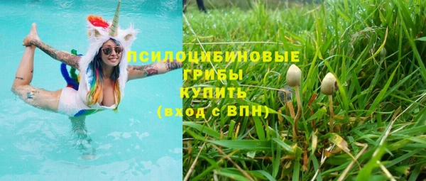 ECSTASY Яровое
