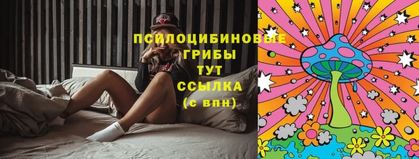 дмт Краснотурьинск