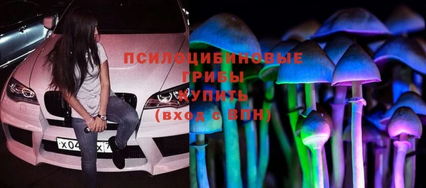 сатива Краснослободск