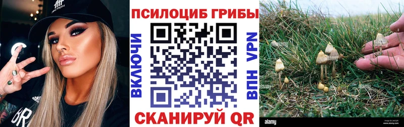 Псилоцибиновые грибы Cubensis Фурманов