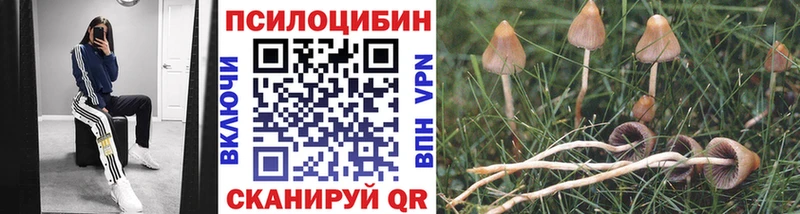 Псилоцибиновые грибы Psilocybine cubensis  купить наркотики сайты  Фурманов 