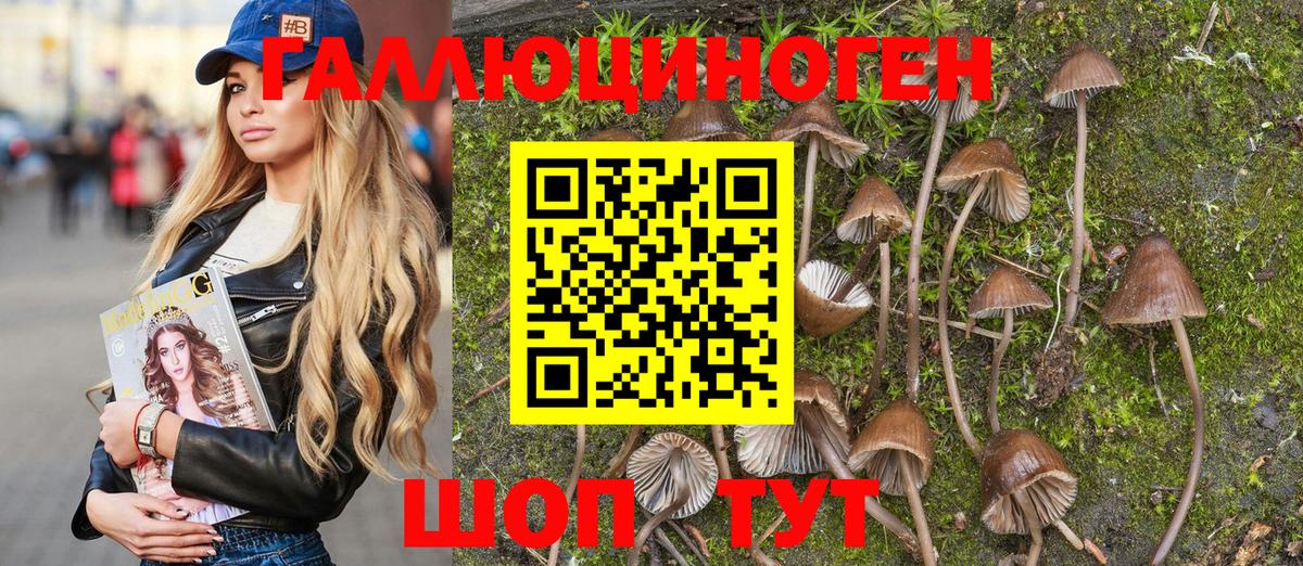 Фурманов  Псилоцибиновые грибы Psilocybe  Вход с VPN  Псилоцибиновые грибы Cubensis 